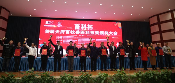 新闻10.JPG