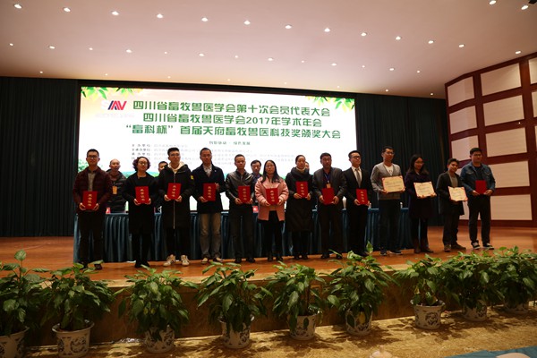 新闻11.JPG