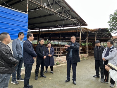 C33D16385AD4A5C15A8BFD73CDAD8590.jpeg C33D16385AD4A5C15A8BFD73CDAD8590.jpeg