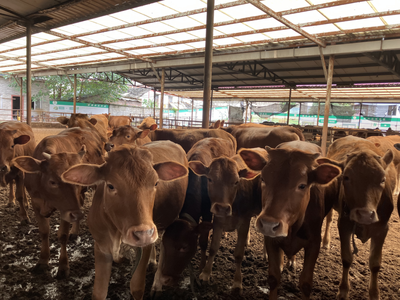 E824228D6367402F607EADC7C543C2AE.png E824228D6367402F607EADC7C543C2AE.png