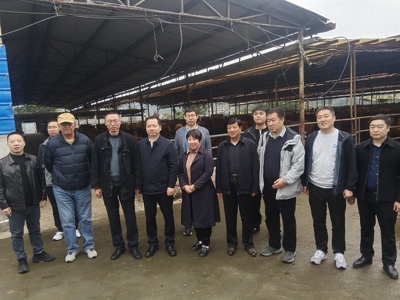 80C38A368AA1AD1B1EEEFC9CA107584F.jpeg 80C38A368AA1AD1B1EEEFC9CA107584F.jpeg