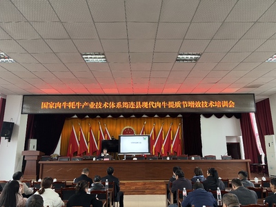 1A72217978C8F3140A1C5549215CDBDC.jpeg 1A72217978C8F3140A1C5549215CDBDC.jpeg