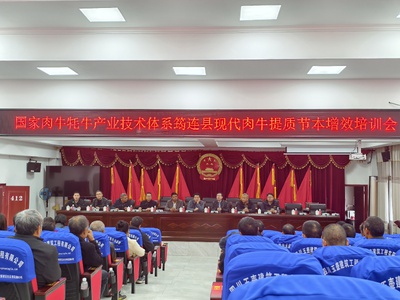 1A3A07EDA73D6B7C6A731EE6DA06A4E9.jpeg 1A3A07EDA73D6B7C6A731EE6DA06A4E9.jpeg