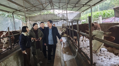 18C447A6E24F9EB9E572BDED51DDD446.jpeg 18C447A6E24F9EB9E572BDED51DDD446.jpeg